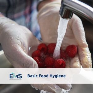 Basic Food Hygiene