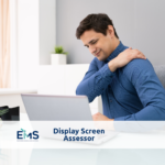 Display Screen Assessor